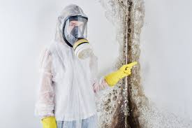 Best Comprehensive Air Testing for Mold Contaminants  in Mountain Home, NC